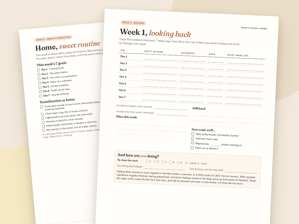 The Week 1 opening page and weekly review