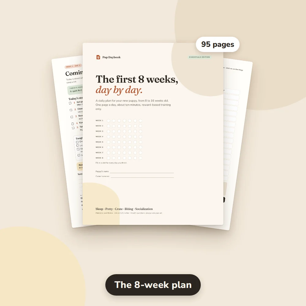 Essentials: the 8-week plan, 95 real pages