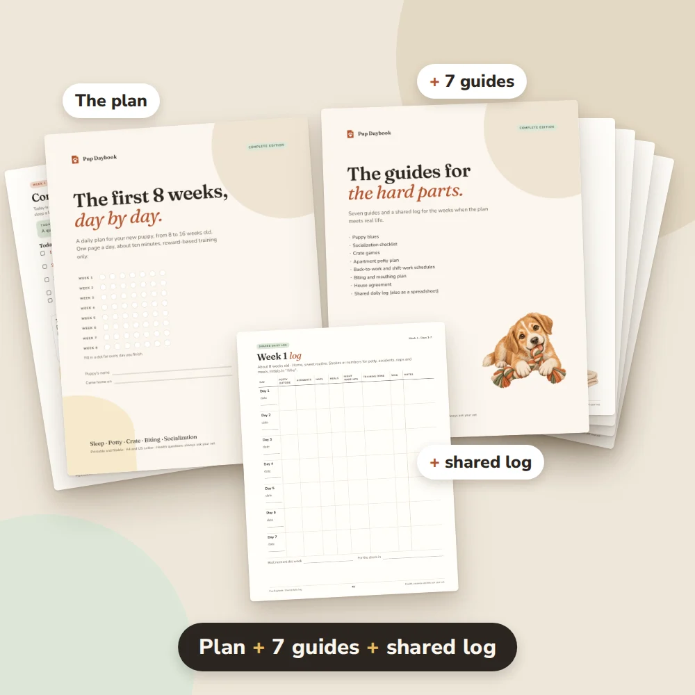 Complete: the plan plus 7 guides and the shared log (real pages)