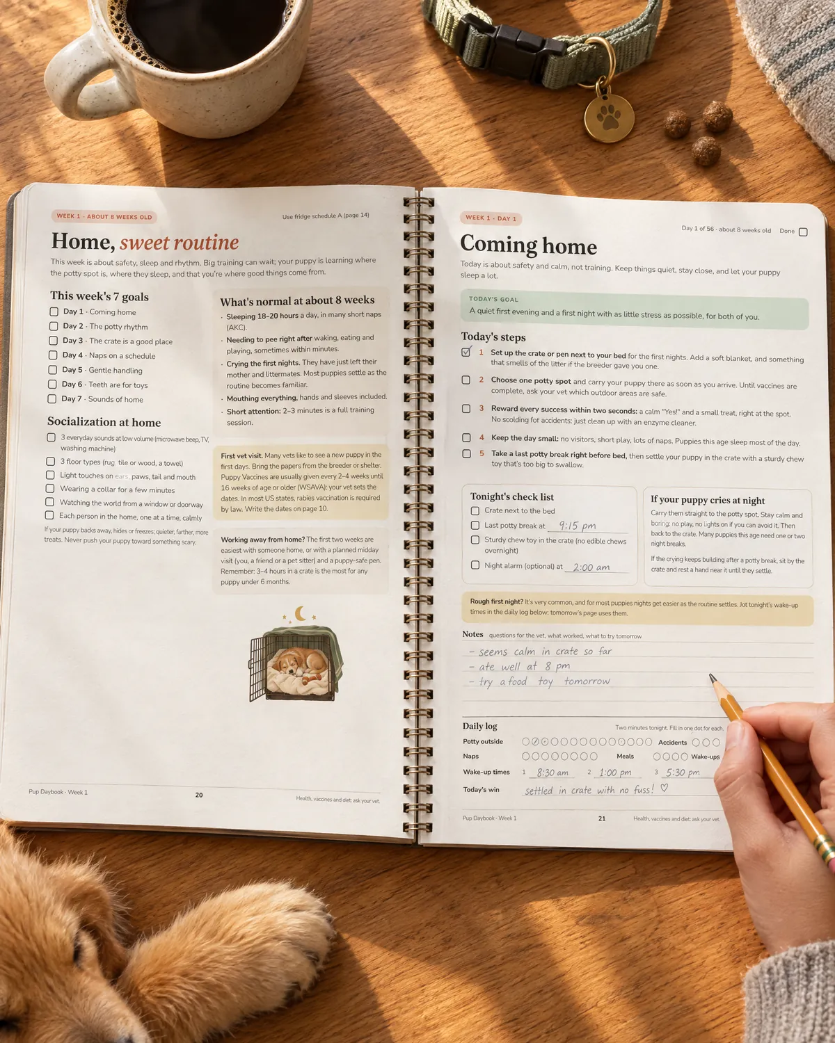 Pup Daybook pages printed as a spiral planner, a hand filling in Day 1 with a pencil