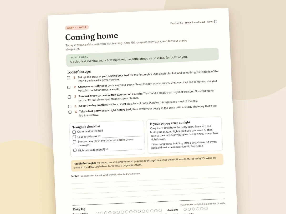 The real Day 1 page: Coming home
